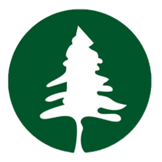 and Services, Inc. Logo